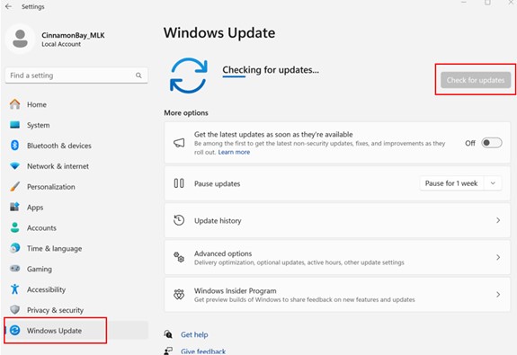 Windows Update