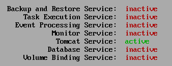 OpenManage Enterprise text user interface application status window showing multiple core services in an inactive state