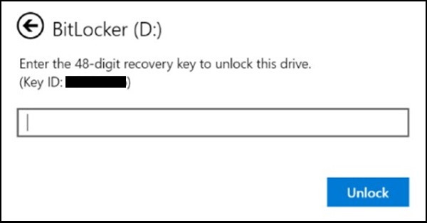 Windows BitLocker (D:), Wiederherstellungsschlüssel eingeben