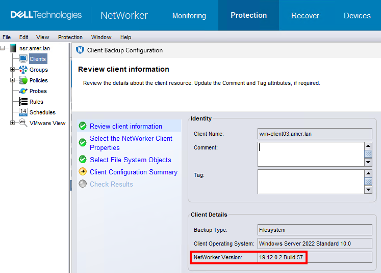 NetWorker client details