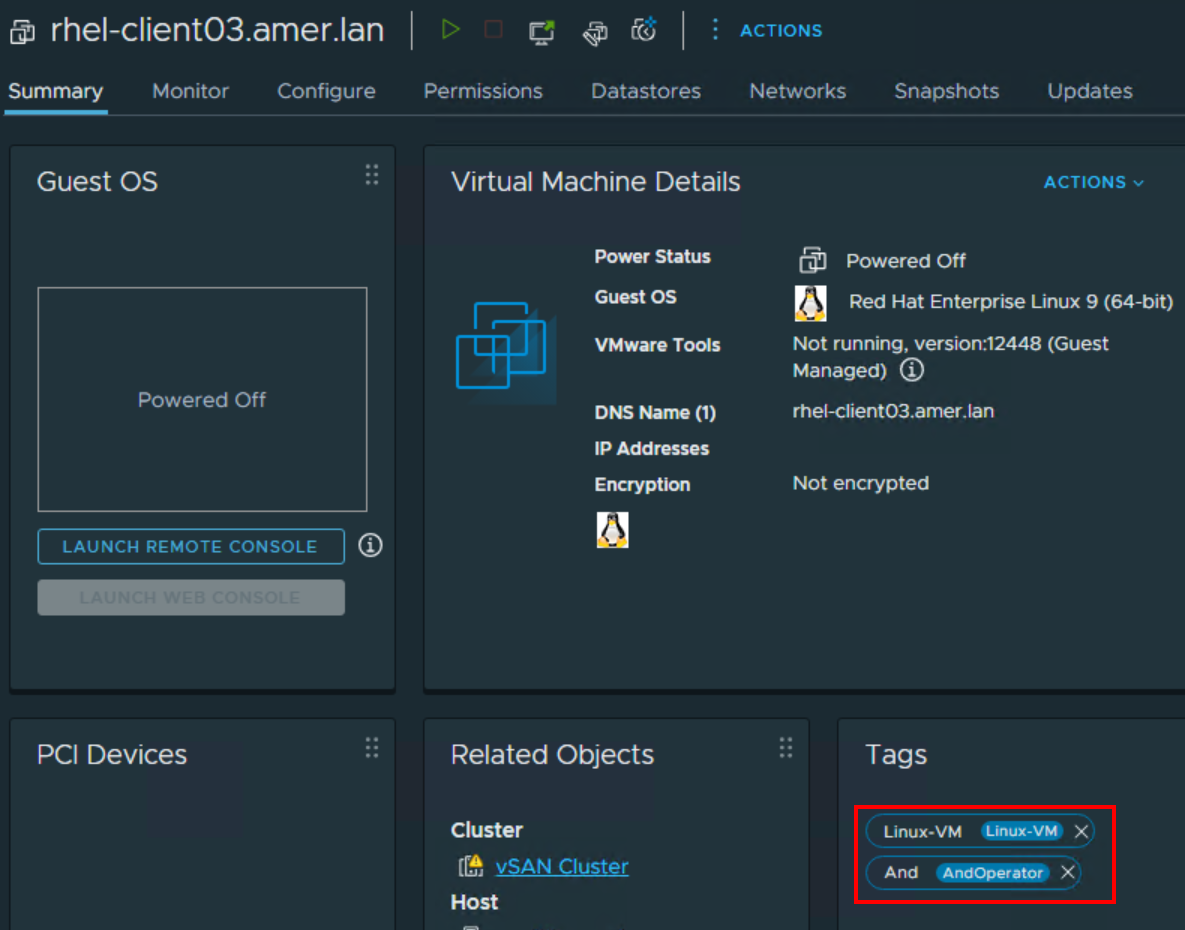 VMware tags