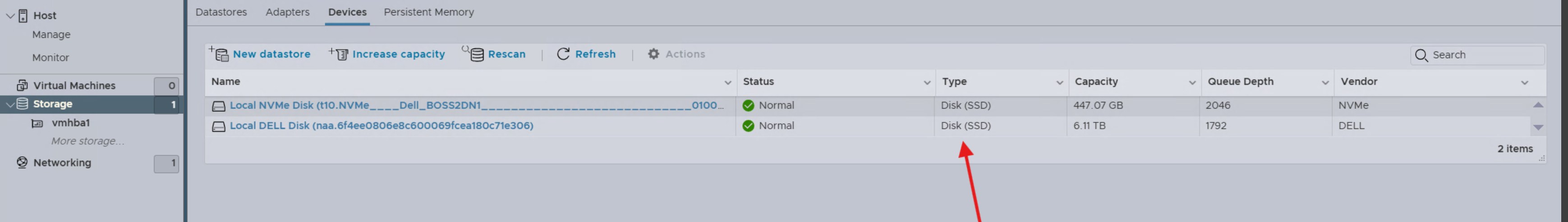 ESXi storage devices