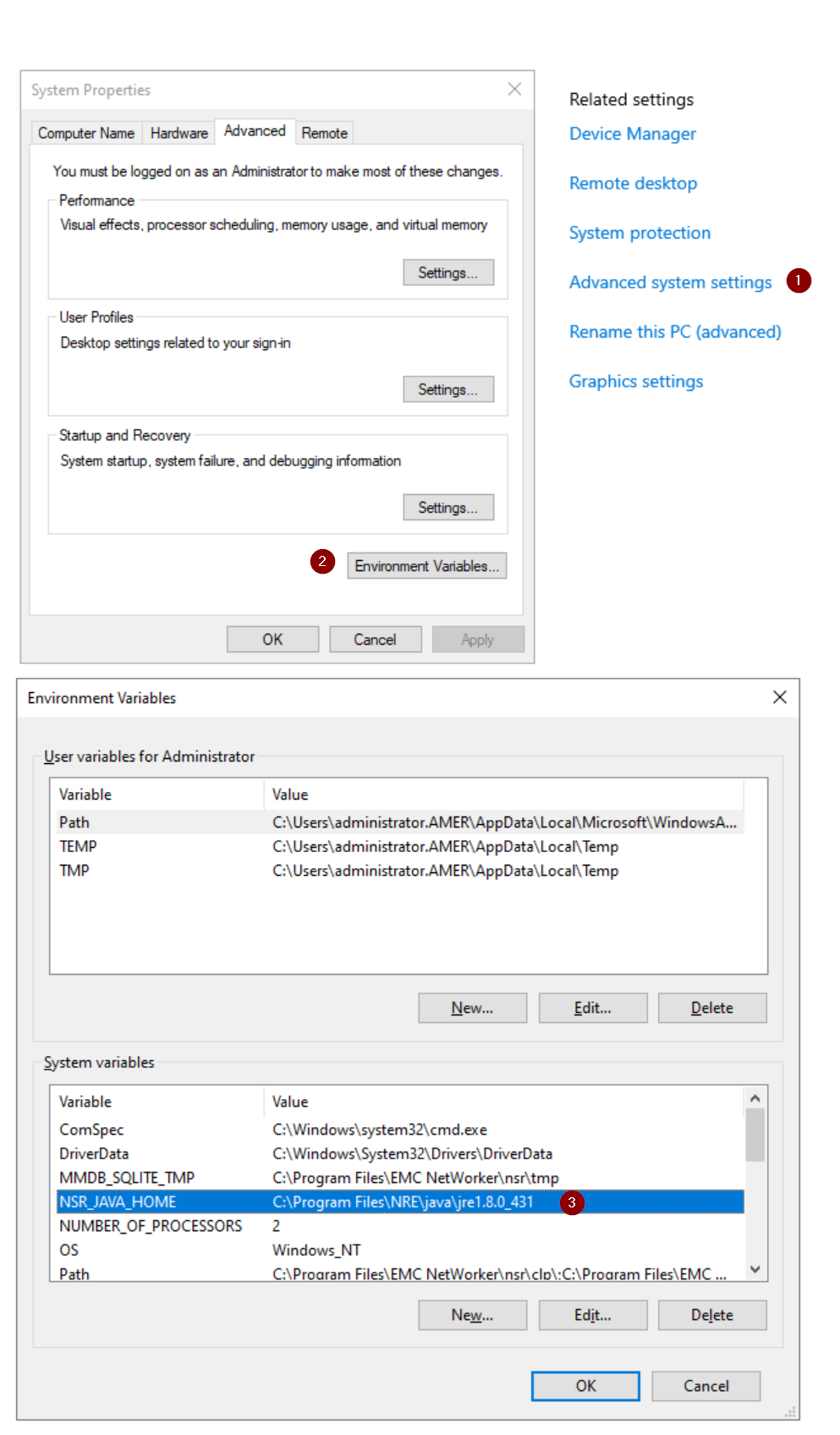 NSR_JAVA_HOME variable defines the path of the Java Runtime Environment