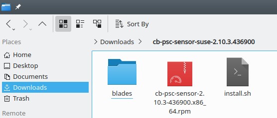 Confirming the file