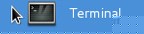 Terminal