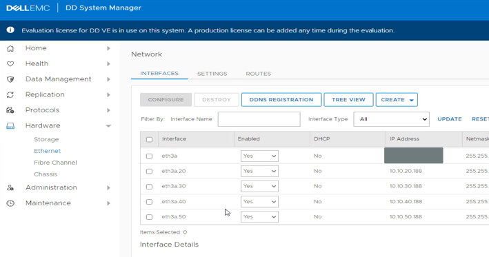 DD System Manager, jossa näkyy laitteiston> Ethernet-verkkoliitännät>>