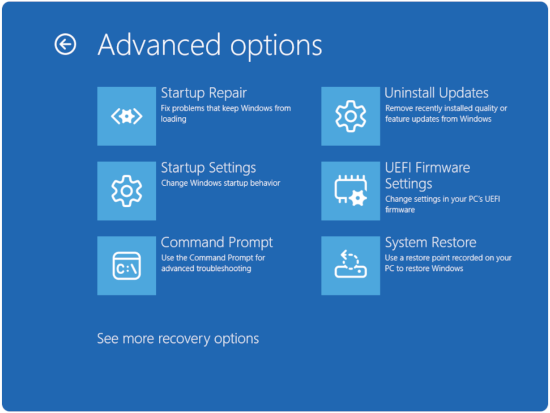 Advanced Options.