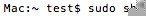 Terminal sudo sh