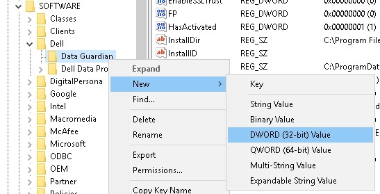 DWORD (32-bit) Value option
