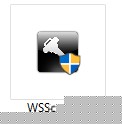 WSScan.exe