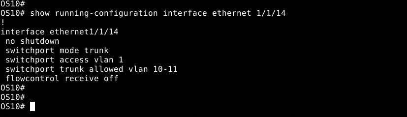 show running-configuration command output