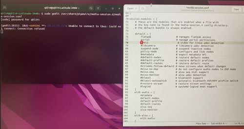 Tapez # devant v4l2 dans media-session.conf
