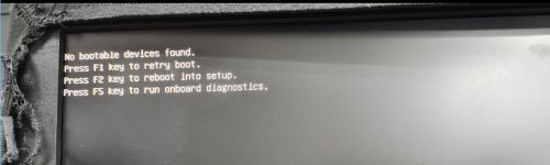 No bootable devices found