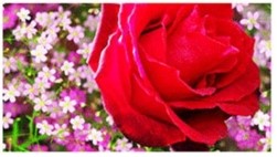 Example with loading effect