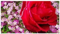 Example with no loading effect