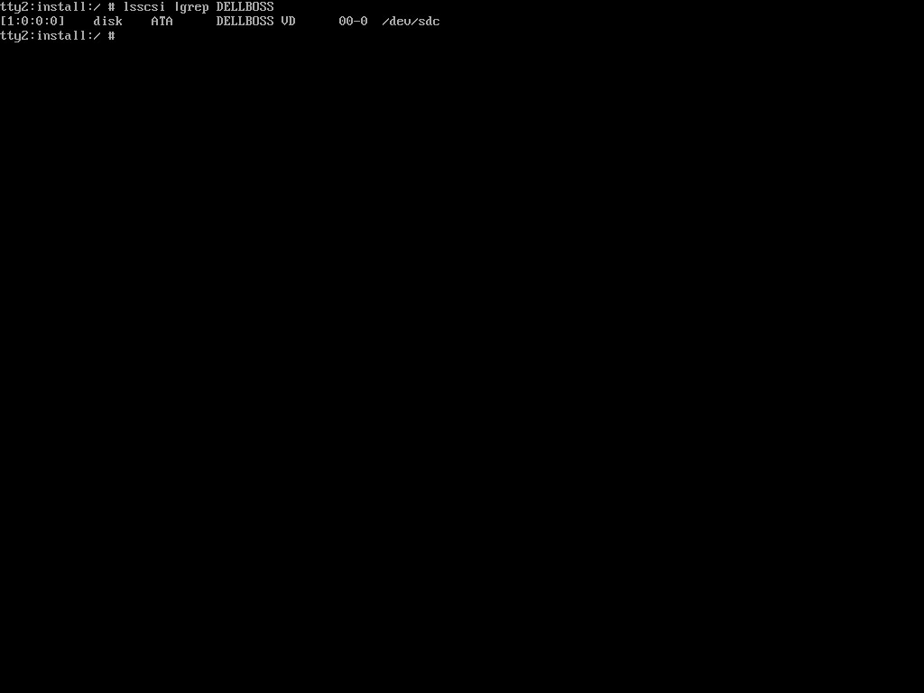 lsscsi output