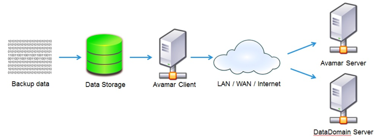 Diagram som visar Avamar-säkerhetskopieringskedjan från säkerhetskopierade data via datalagring, Avamar-klienten, nätverket och slutligen Avamar- och Data Domain-servrarna.