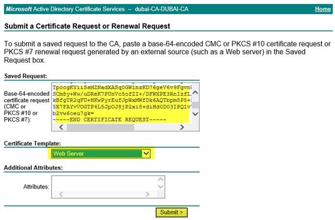 kA53a0000004NSOCA2_1_3