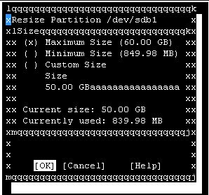 yast2 sdb1 device resize