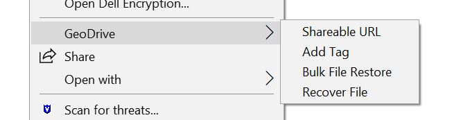 После этого должно появиться меню GeoDrive