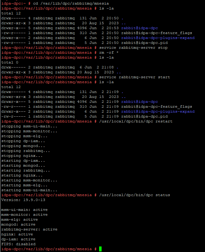 範例顯示 RabbitMQ 重新產生資料結構