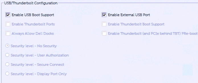 无 Thunderbolt 功能的戴尔计算机 BIOS 示例