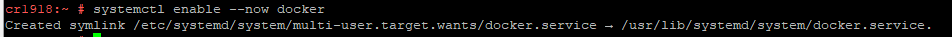 Inicio y habilitación de los servicios Docker