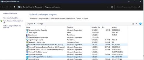 Microsoft Edge WebView2 Runtime oppført under Programmer og funksjoner