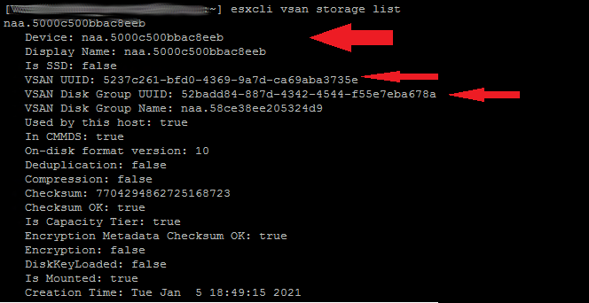 List vsan disk information on ESXI CLI