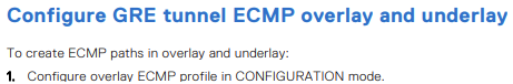 Konfigurieren des GRE-Tunnel-ECMP-Overlays und -Underlays