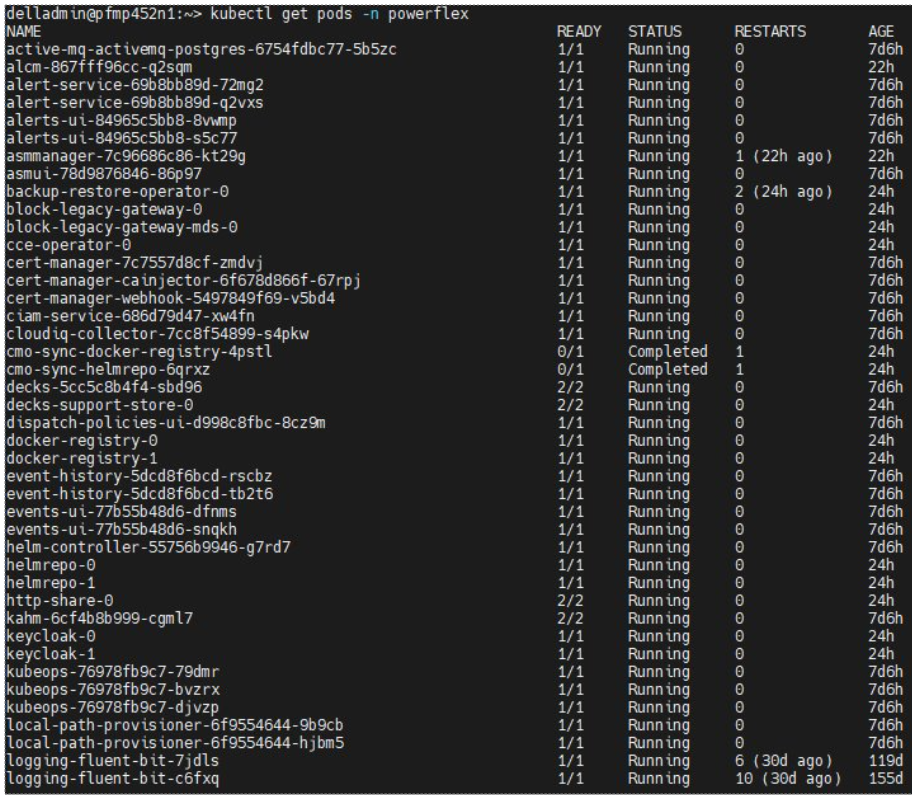 Captura de pantalla de un ejemplo de pods