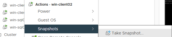 取得 VMware 快照
