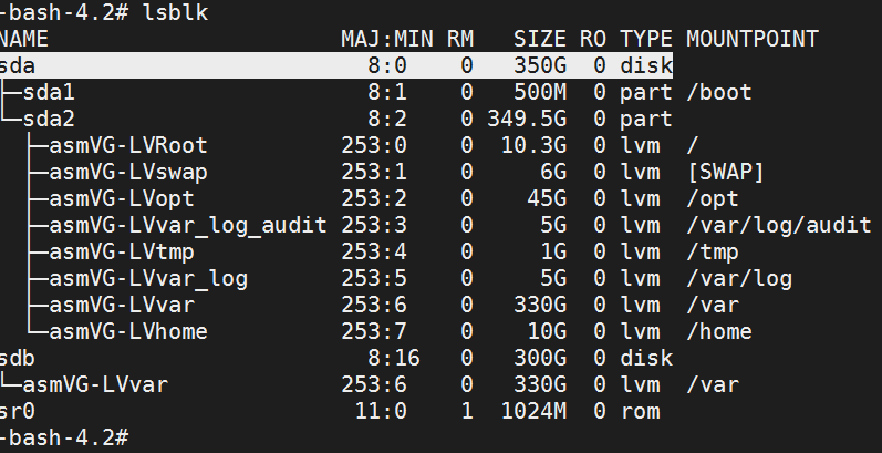 lsblk Command Output