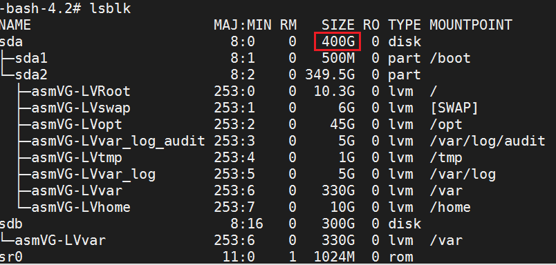 Confirm lsblk Command Output