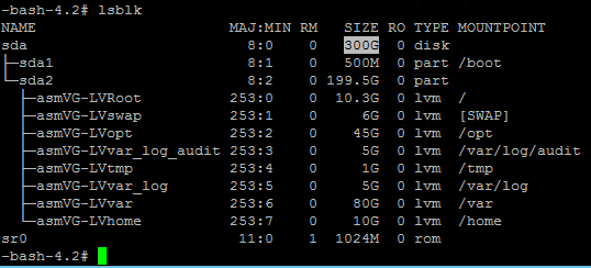 PFxM lsblk new space