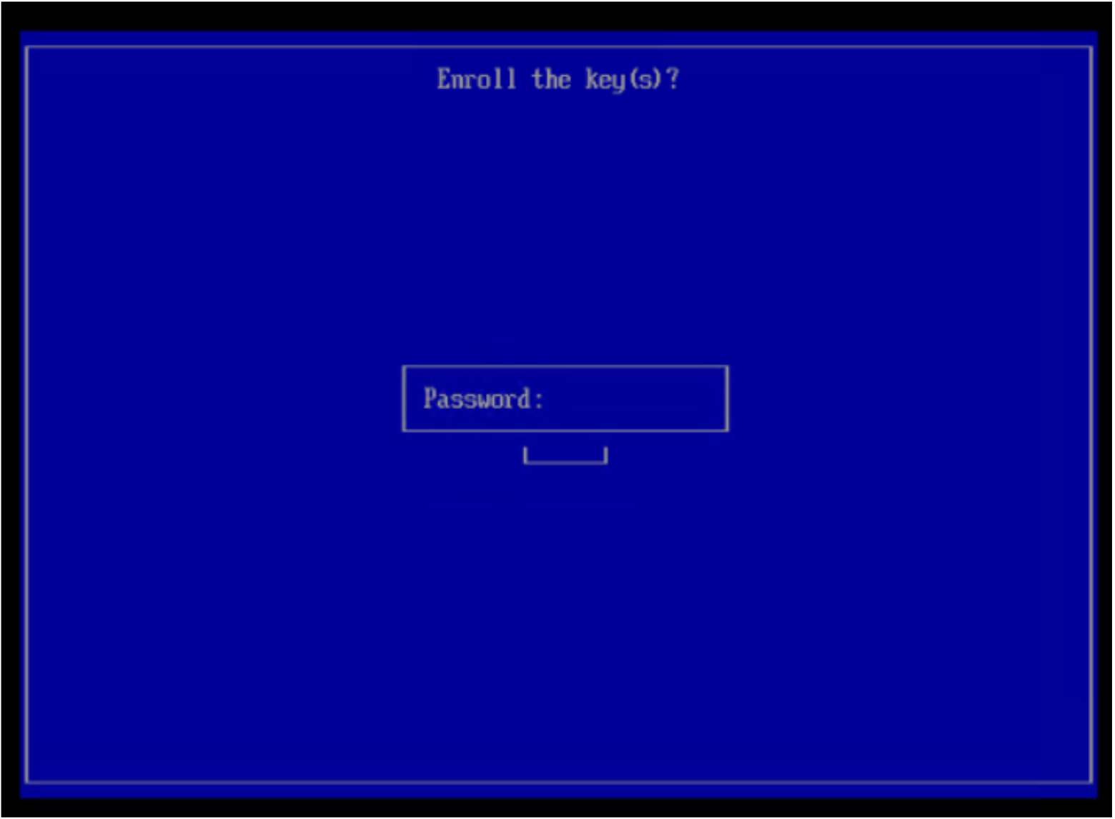 Enter password screen