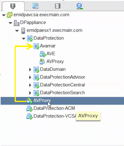 vApps and VMs in host