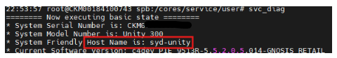 CLI the hostname shows the new hostname syd-unity