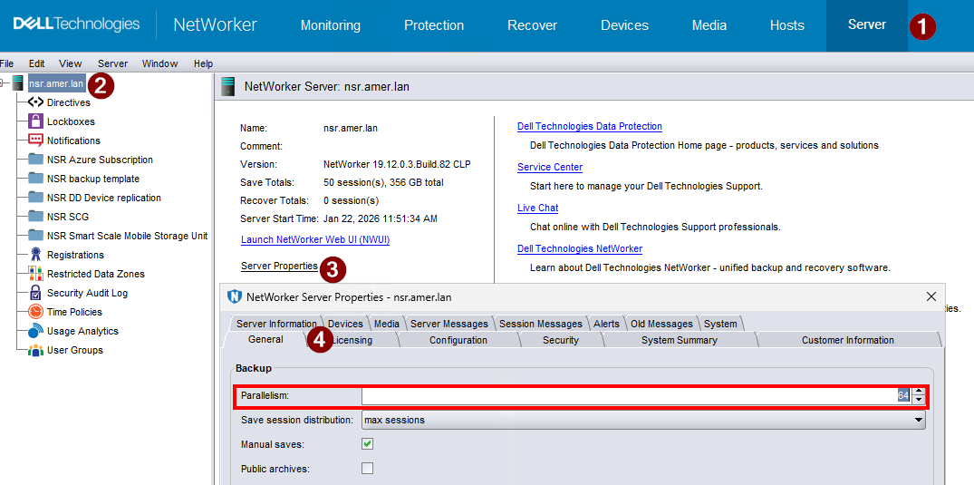 Server parallelism settings