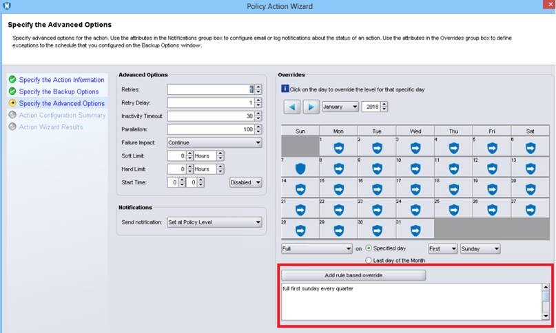 Example of a schedule override set in the action details