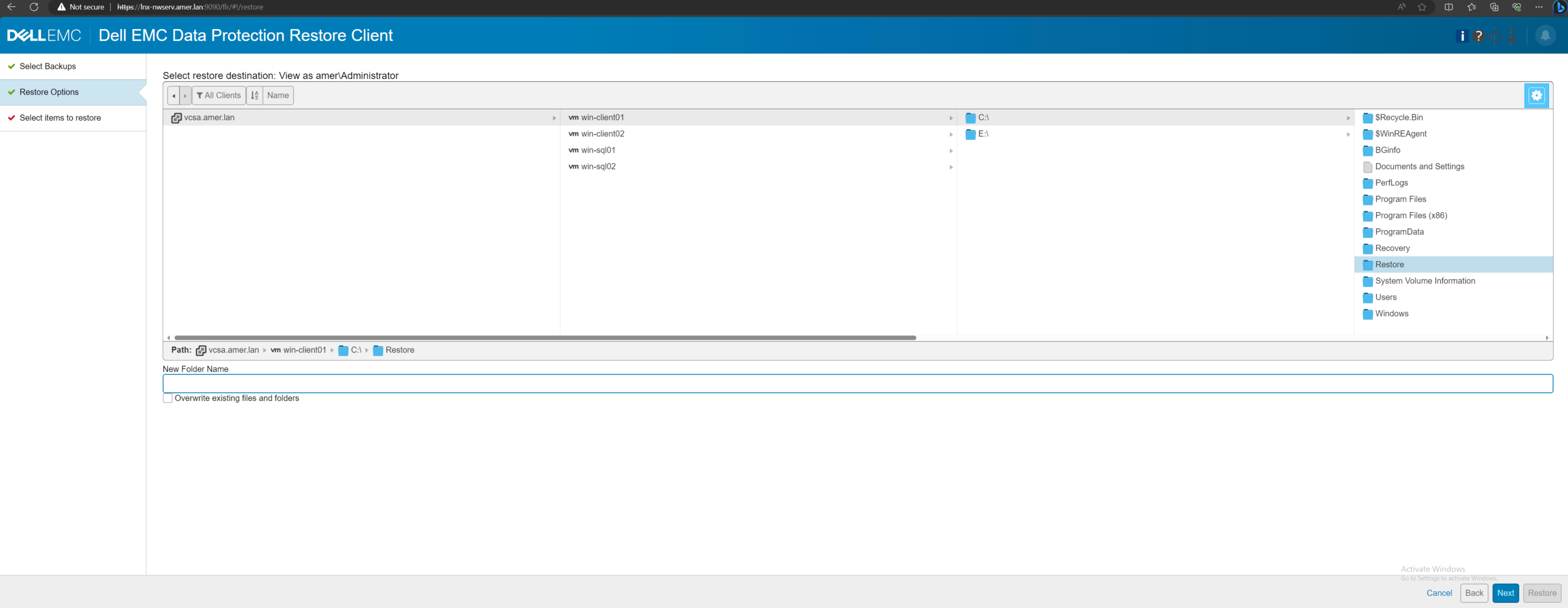 Data Protection Restore Client target restore location selection