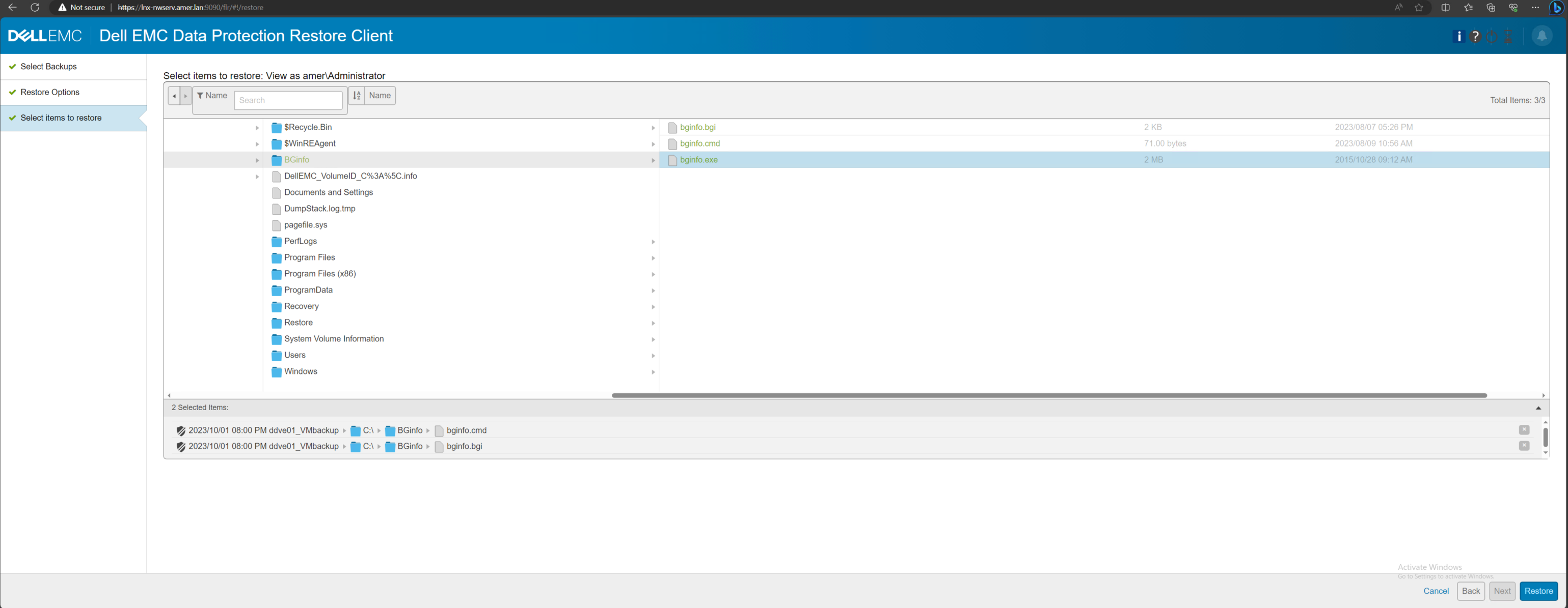 Data Protection Restore Client file selection 