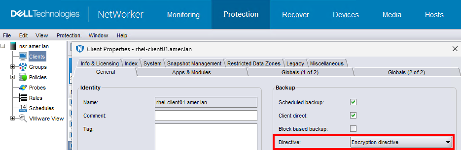 NetWorker Encryption Directive