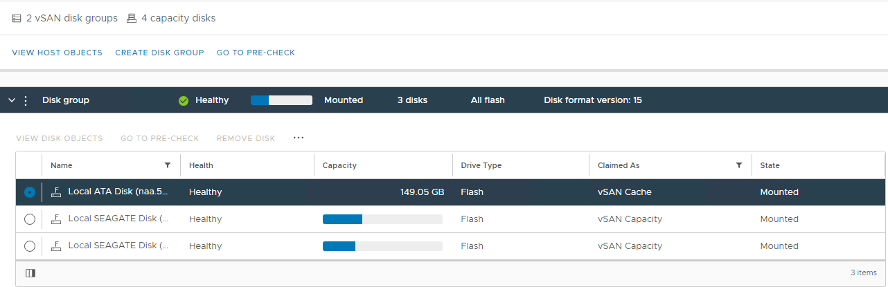 vSAN Disk Group view