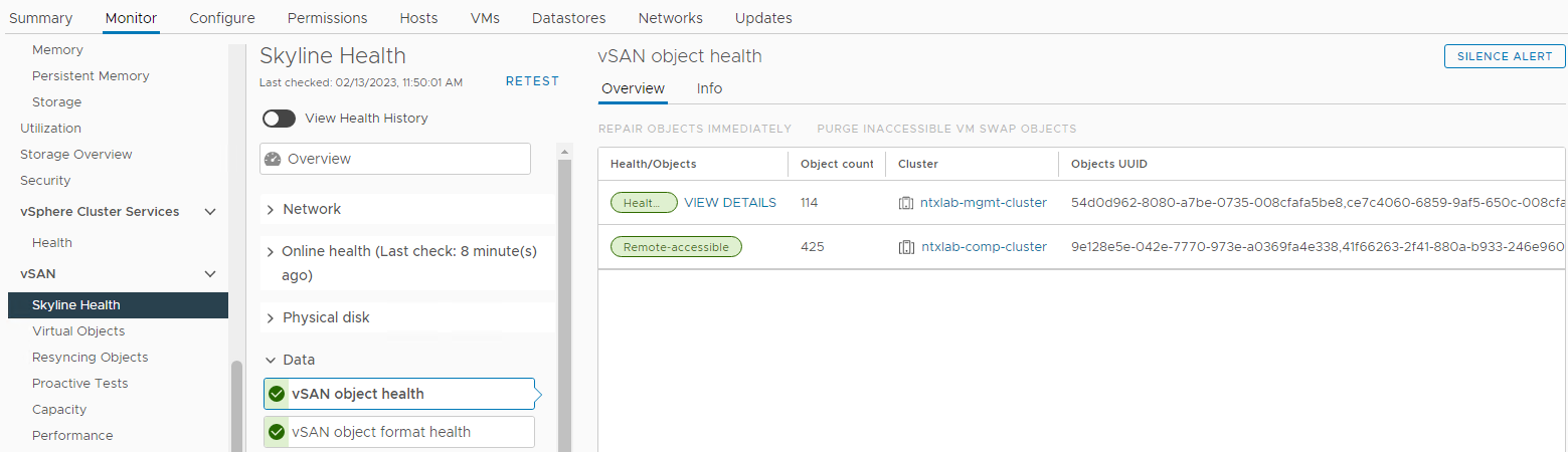 vSAN object health view