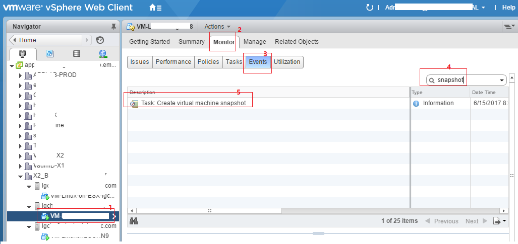 vCenter vSphere web client