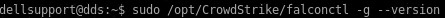 取得 CrowdStrike 版本