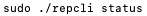 Команда статусу RepCLI