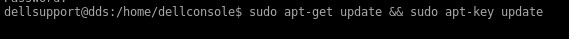 sudo apt-get update && sudo apt-key update 명령 실행