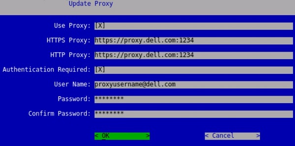 Menü „Update Proxy“